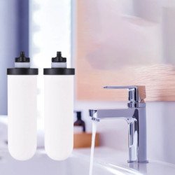 Vela de filtro de cerámica de 2 piezas con carbón activado Compatible