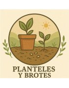 PLANTELES Y BROTES