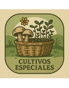 CULTIVOS ESPECIALES (setas, microgreens, etc.)